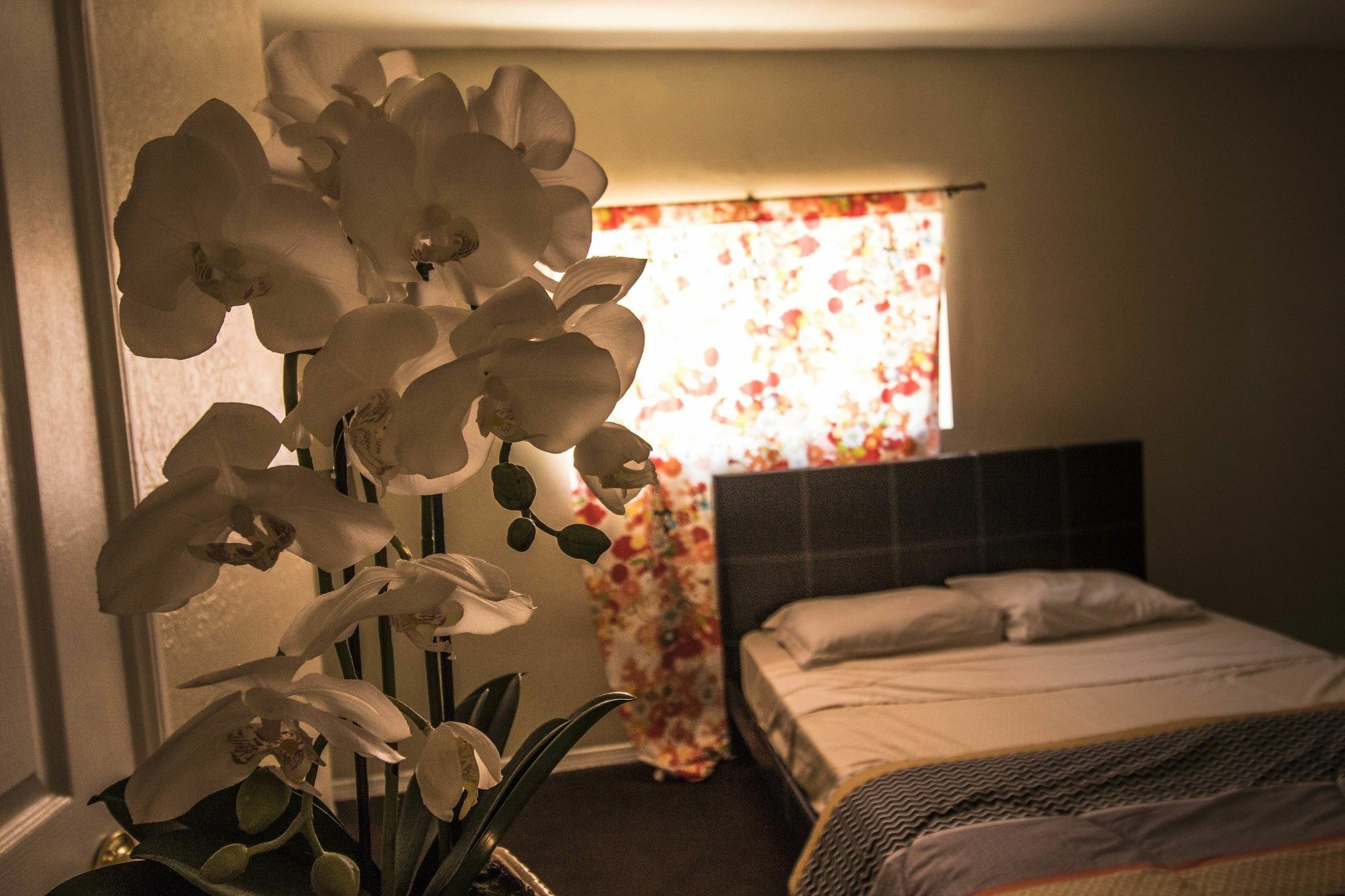 The Anderson Estates Hostel Los Angeles Buitenkant foto